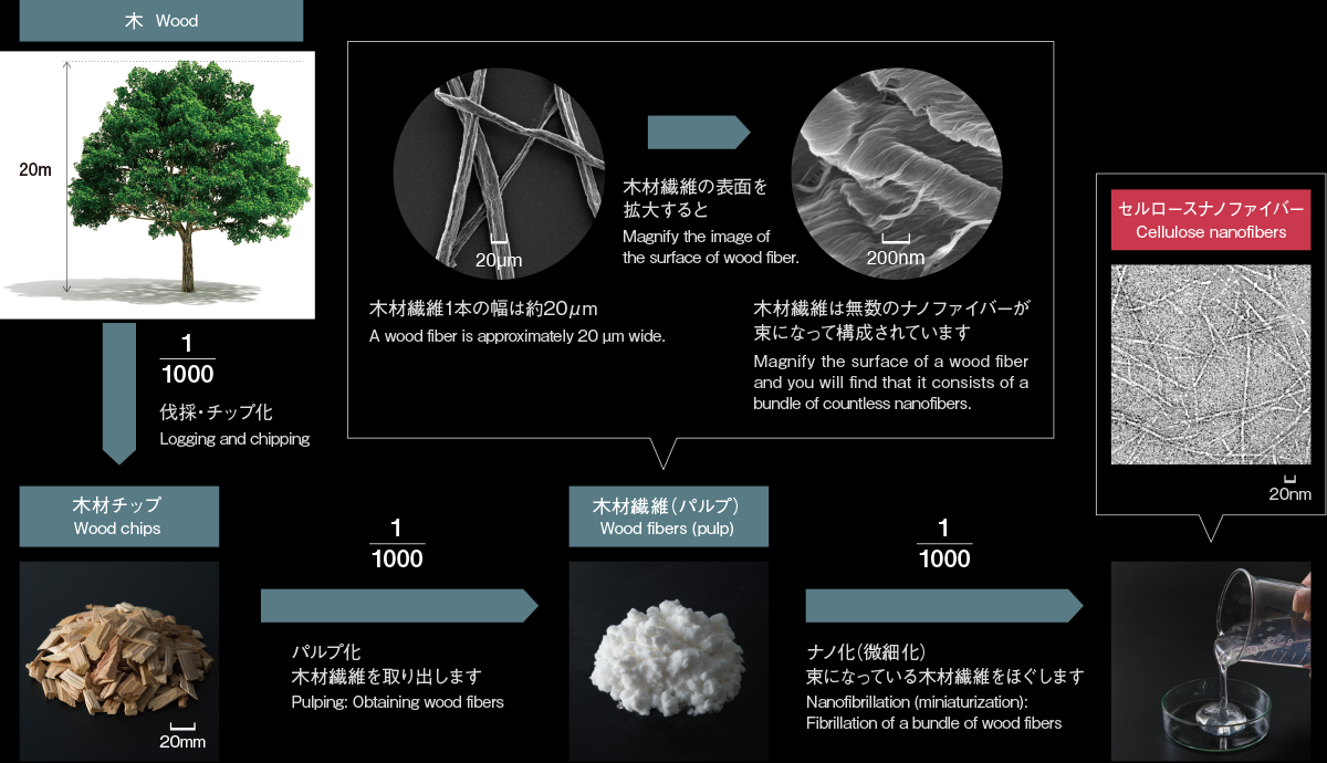 セルロースナノファイバーの作り方イメージ