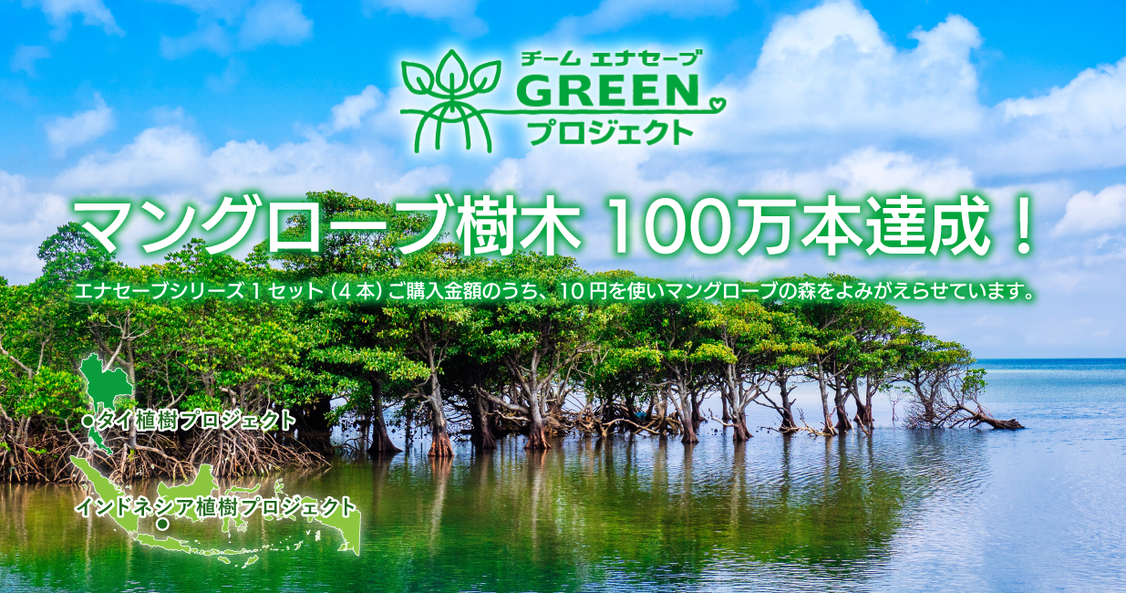 マングローブの植樹