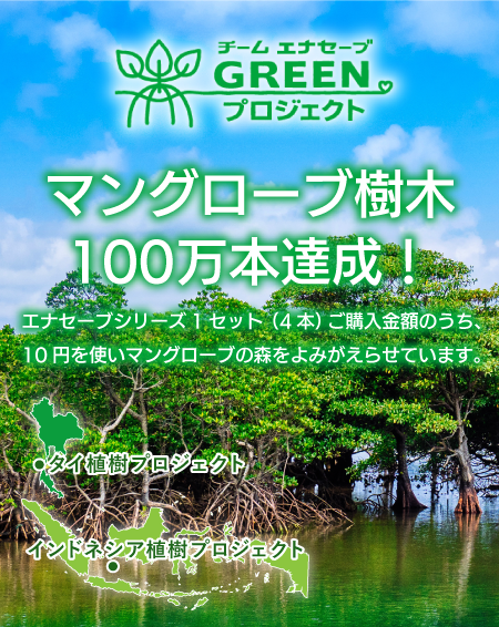 マングローブの植樹