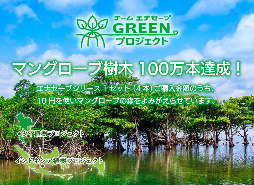 マングローブの植樹