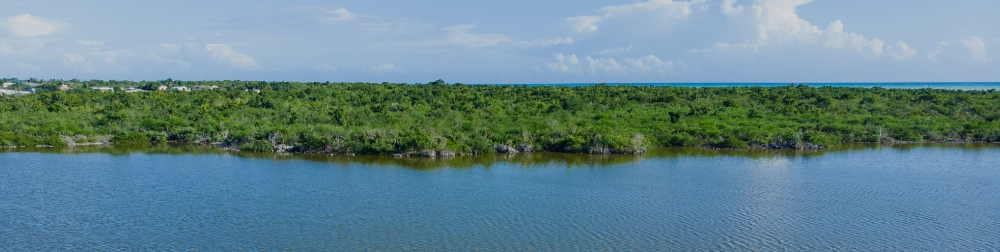 メッセージラリー