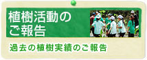 植樹活動のご報告