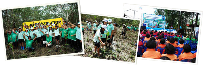 チーム・エナセーブの植樹活動