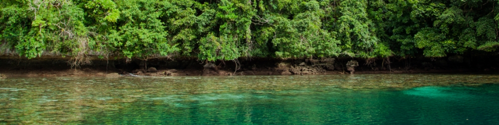 メッセージラリー