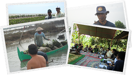 植樹実績 / 植樹活動