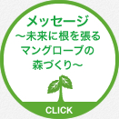 メッセージ 〜未来に根を張るマングローブの森づくり〜