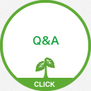 Q&A