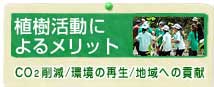 植樹活動のメリット