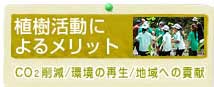 植樹活動のメリット