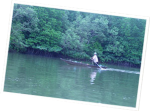 村人の生活を支える林