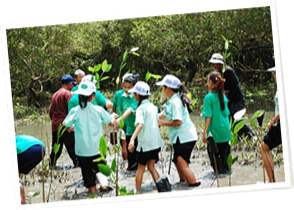 村人の生活を支える林