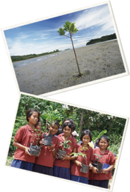 村人の生活を支える林