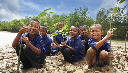 植樹実績 / 植樹活動