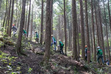 森を元気に保つために