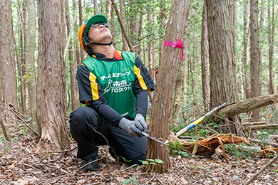 ヘルメットをかぶって間伐作業スタート