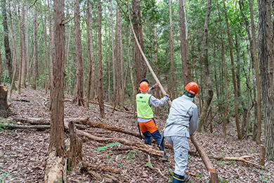 ヘルメットをかぶって間伐作業スタート