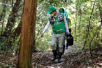 活動場所への移動～自然観察