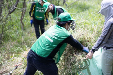 辺り一面に広がっていた笹もすっきり