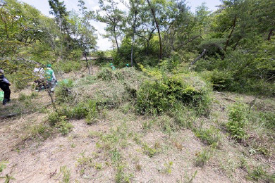 刈られた笹の大きな山ができていました