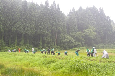 みなさん積極的に作業に取り組む