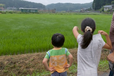 コウノトリも見えた