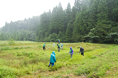 草刈り・泥上げ
