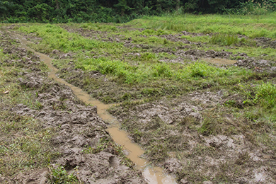 綺麗な水路が完成
