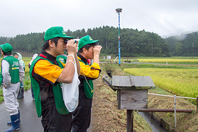 コウノトリケージを見学