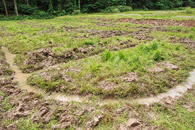綺麗な水路が完成