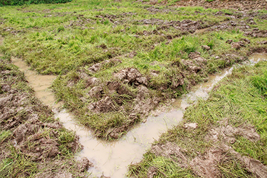 綺麗な水路が完成