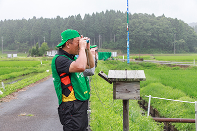 コウノトリケージを見学