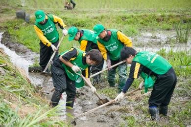 草刈り・泥上げ・水路づくり