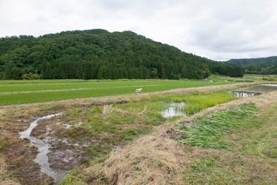 立派な水路を造成