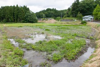 立派な水路を造成