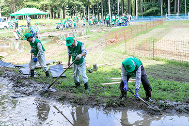 ビオトープ整備