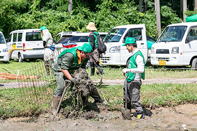 ビオトープ整備
