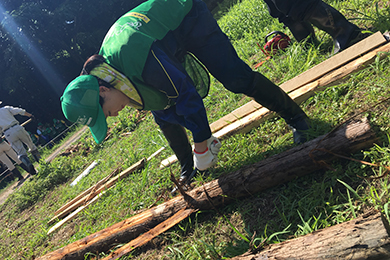 ビオトープに橋を架けました