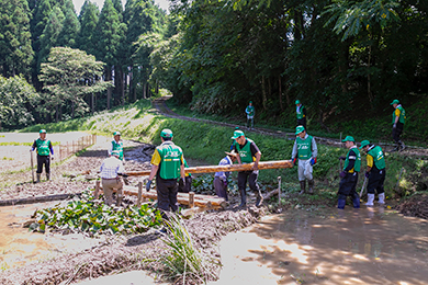 ビオトープに橋を架けました