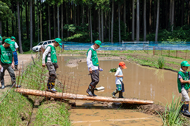 ビオトープに橋を架けました