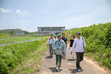 野生のコウノトリに会えました