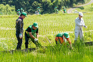 泥上げ・草刈り