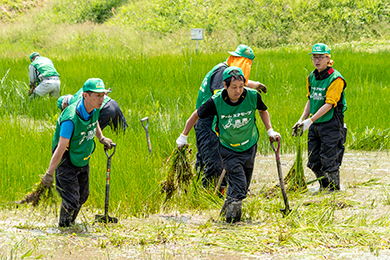 泥上げ・草刈り