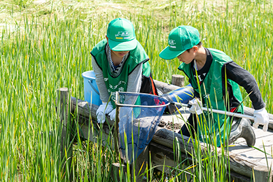 アメリカザリガニをつかまえよう！