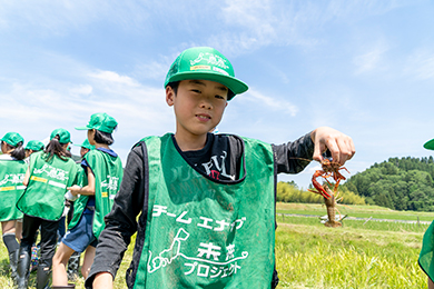 アメリカザリガニをつかまえよう！