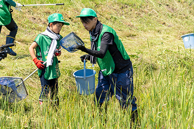 アメリカザリガニをつかまえよう！