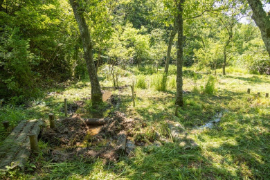 作業後、立派なビオトープになりました