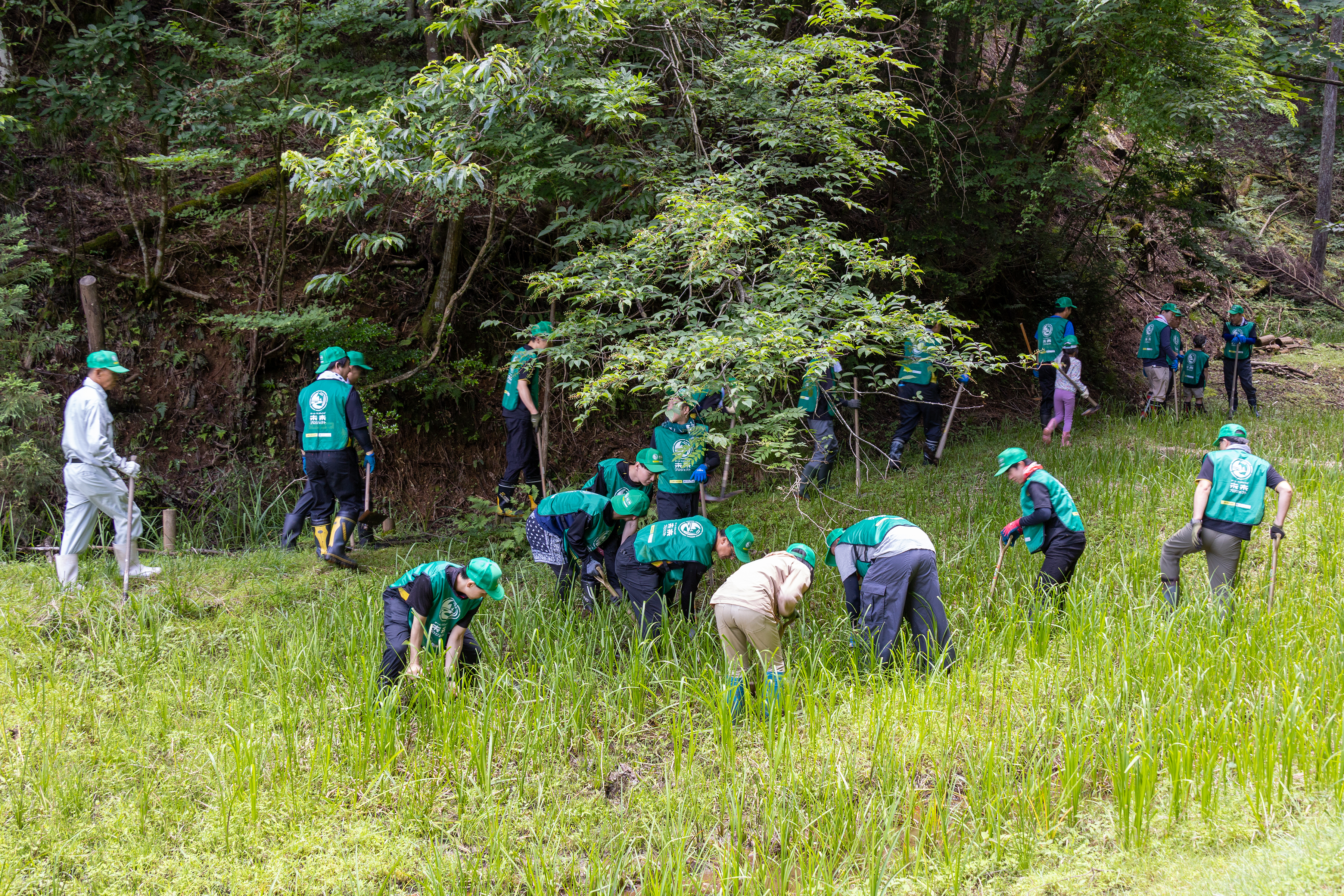 草刈り・泥上げ作業