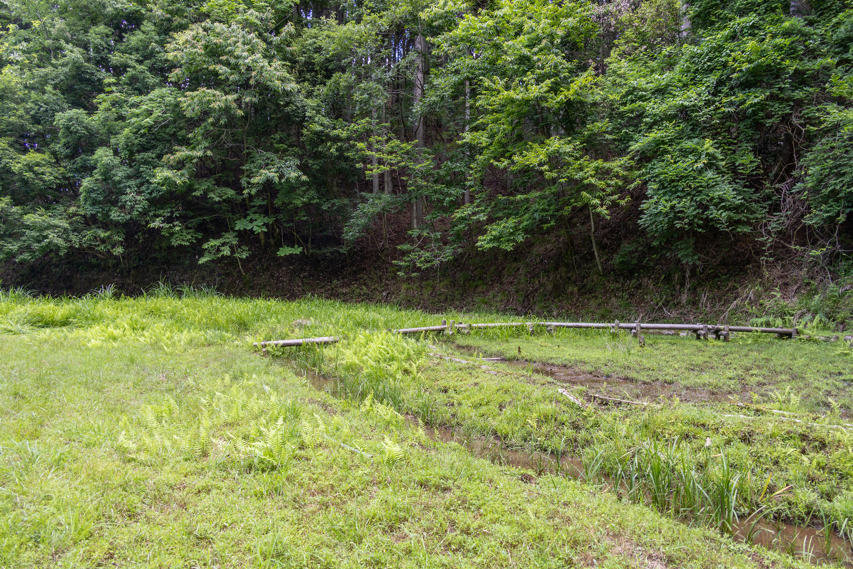 立派な水路ができました