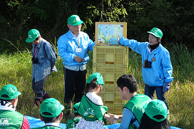 干潟に生きるカニや貝類の生物、干潟をえさ場として飛来するたくさんの鳥類について、お手製の紙芝居を用いてご説明いただきました