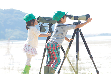 自然観察会(水鳥・生物・草花の観察)
